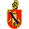 El Palmar CF Estrella Grana Logo