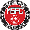 Michigan Stars Logo