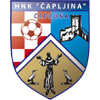 HNK Capljina Logo