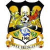 Three Bridges Logo