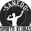 FK Saned Logo