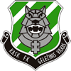 Geležinis Vilkas Logo
