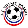 Juvenes/Dogana Logo