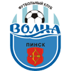 Volna Pinsk Logo