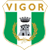 Vigor Lamezia