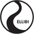 Ellidi