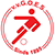 VV Goes Logo