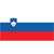 Slovenia U21 Logo